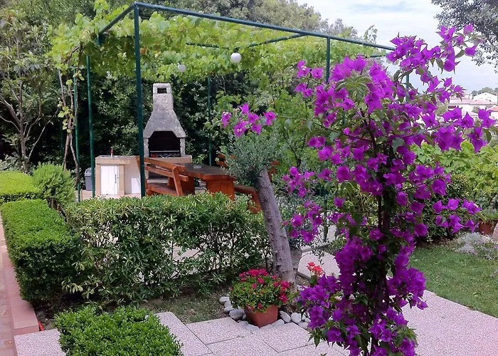 Graso Apartament *